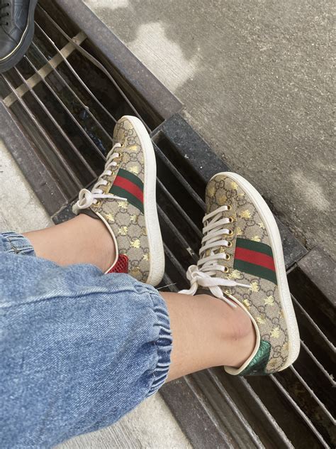 gucci ace bee womens|gucci ace bee men.